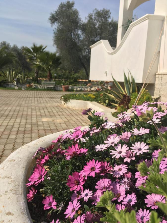 Villa Cristalda Βιέστε Εξωτερικό φωτογραφία