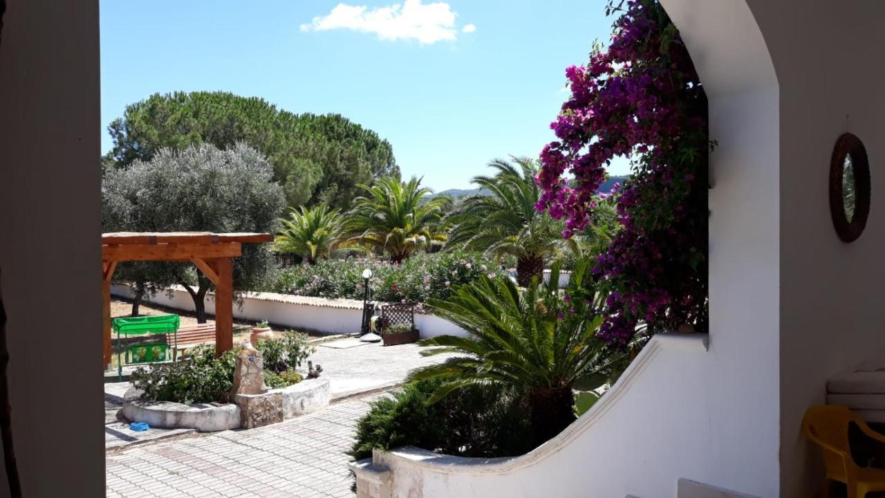 Villa Cristalda Βιέστε Εξωτερικό φωτογραφία